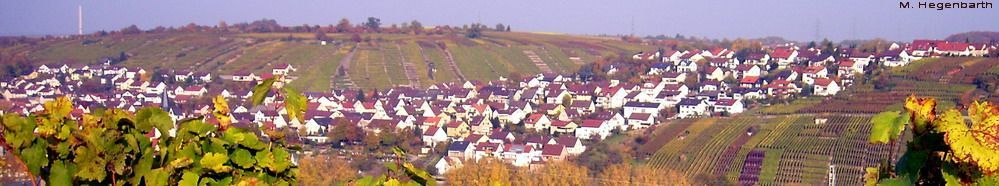 Walheim Panorama